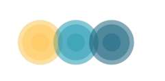 AnsoftAI Logo